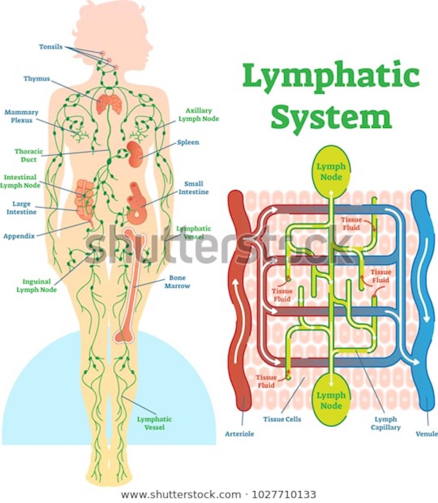 Lymfedrainage